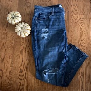 LOFT Plus | Distressed Skinny Jean
